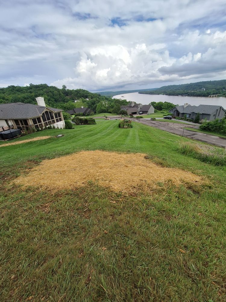 All Photos for Cincinnati’s Finest Landscape Services LLC in Cincinnati, OH