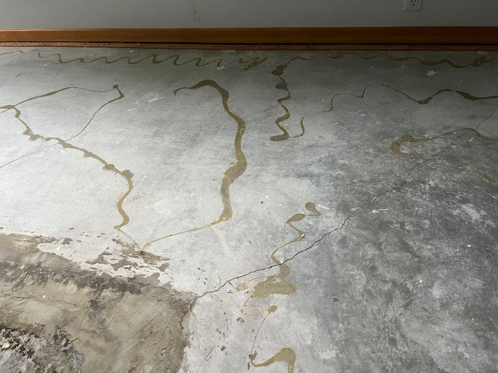 All Photos for Dib 896 Flooring in Dearborn Heights, MI