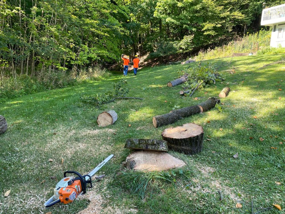 Tree Removal for Highborn Tree Service in Wheatfield, IN