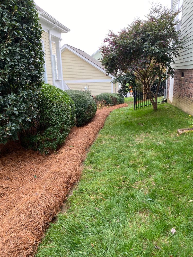 Pine Needle Installation for Dream Cuts Landscaping and Lawn Care LLC in Gastonia, NC