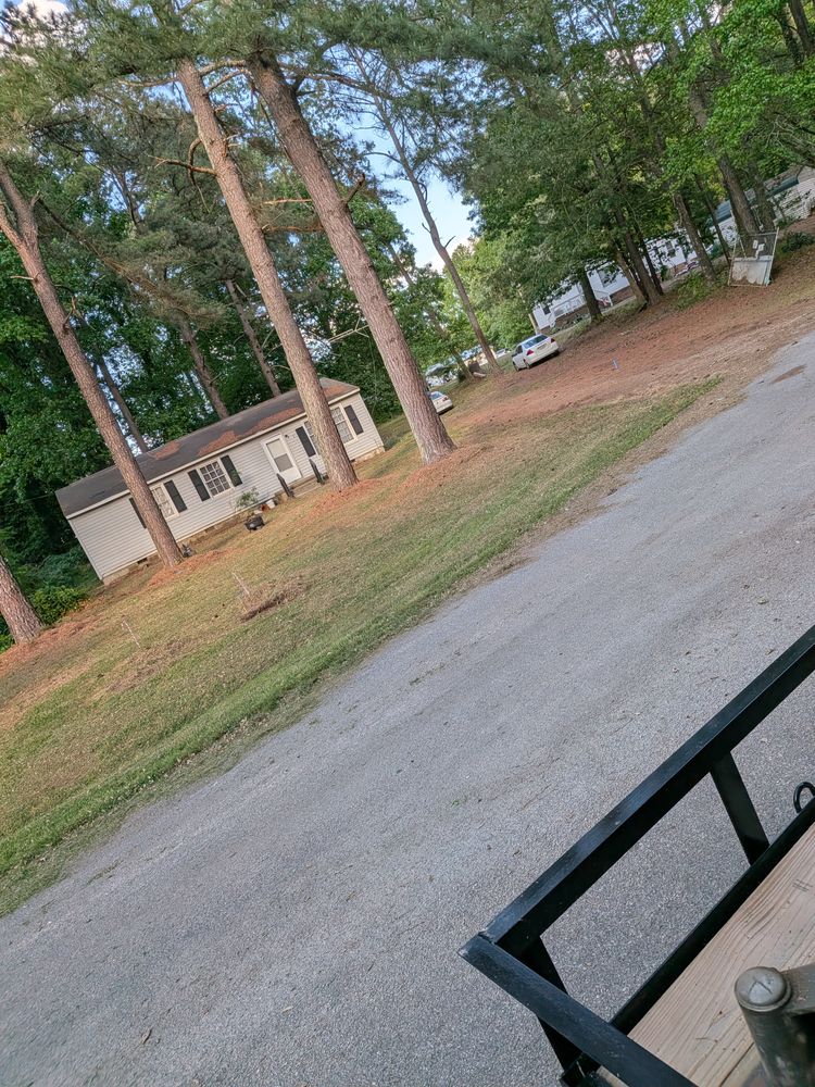 All Photos for LawnTherapy in Lawrenceville, VA