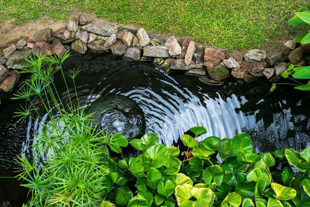 All Photos for Backyard Paradise Pools! in Splendora, TX