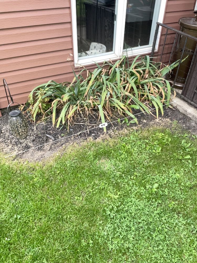 All Photos for Kenneth Fuller in Cleveland, MN