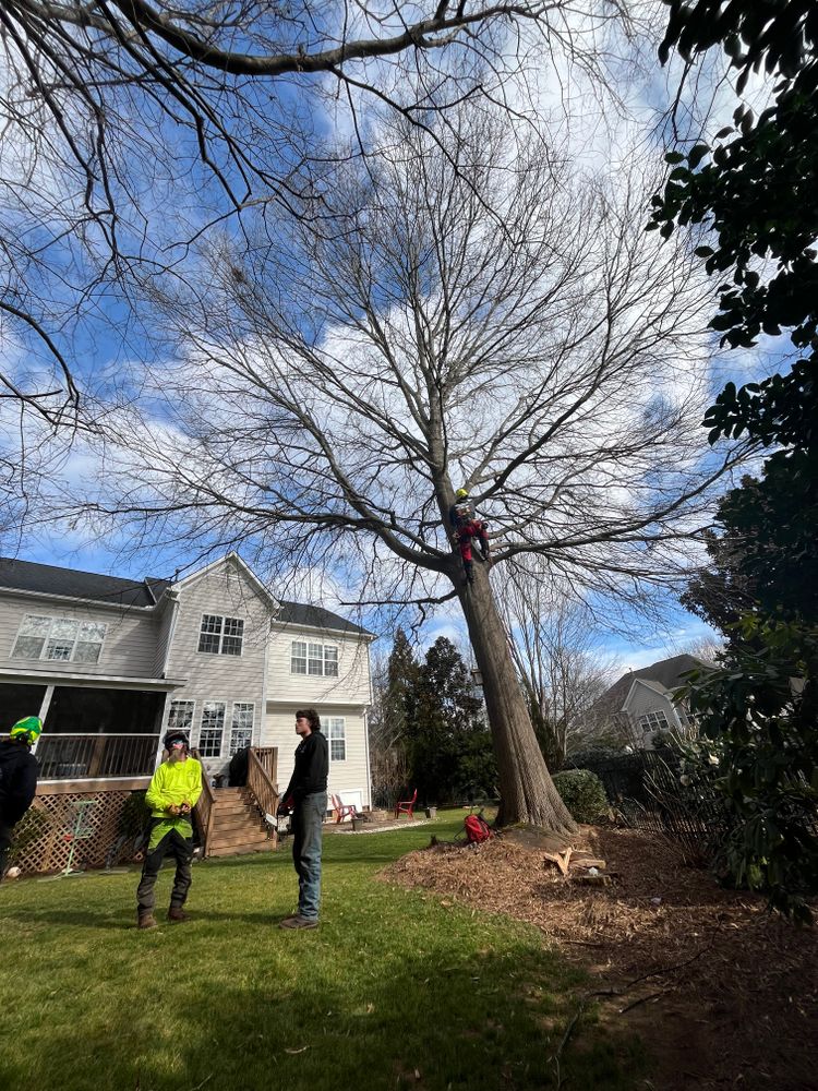 All Photos for Diversified Tree Company in Trinity, NC
