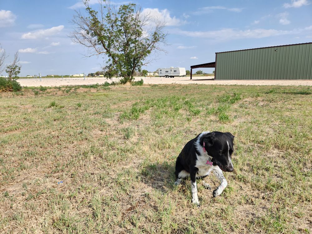 All Photos for Prairie Land Properties LLC in Lubbock, TX