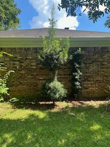 All Photos for All-Star Lawn Care & Soft Washing in Mobile, AL