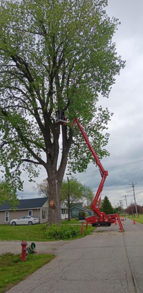 All Photos for Lawn Ranger Yard And Tree Service LLC in Ottumwa, IA