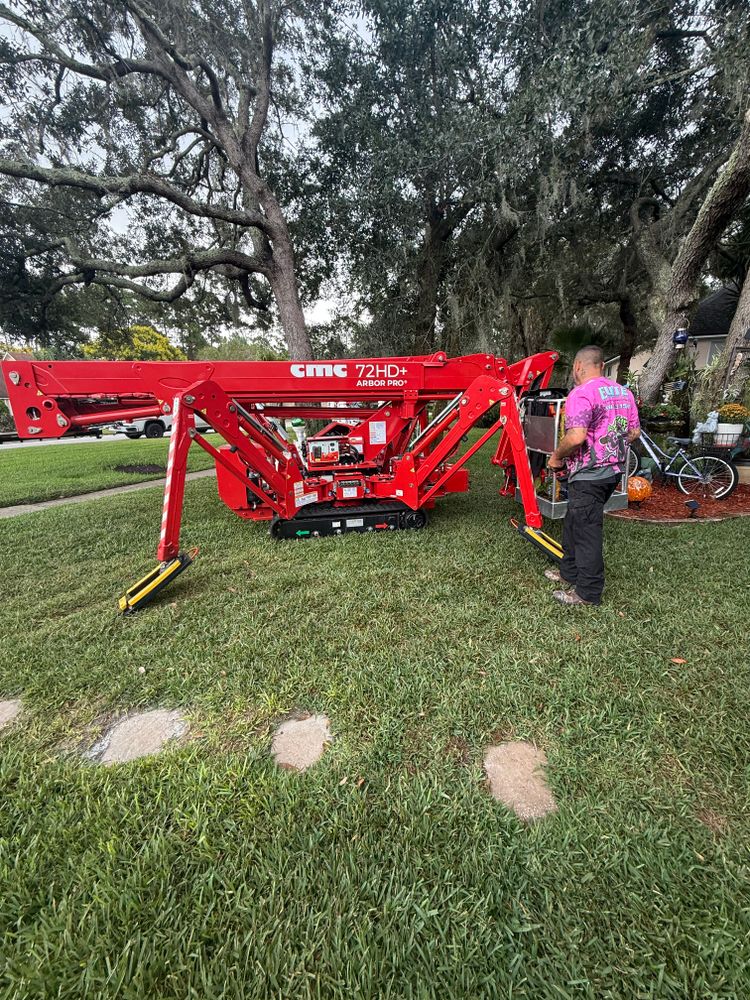 All Photos for Elite Tree & Landscape Services LLC in St. Augustine, FL