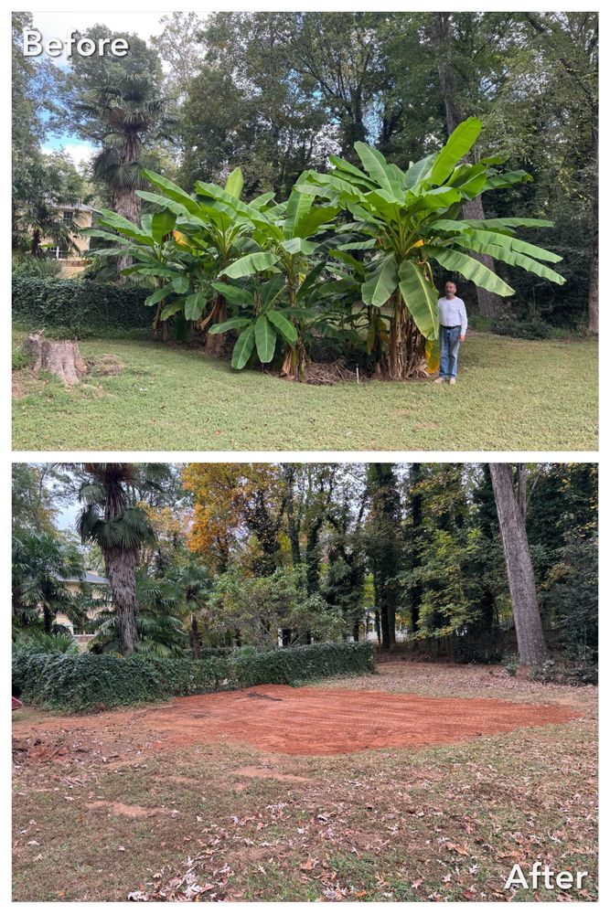 Brush Cutting and Removal for Fayette Property Solutions in Fayetteville, GA