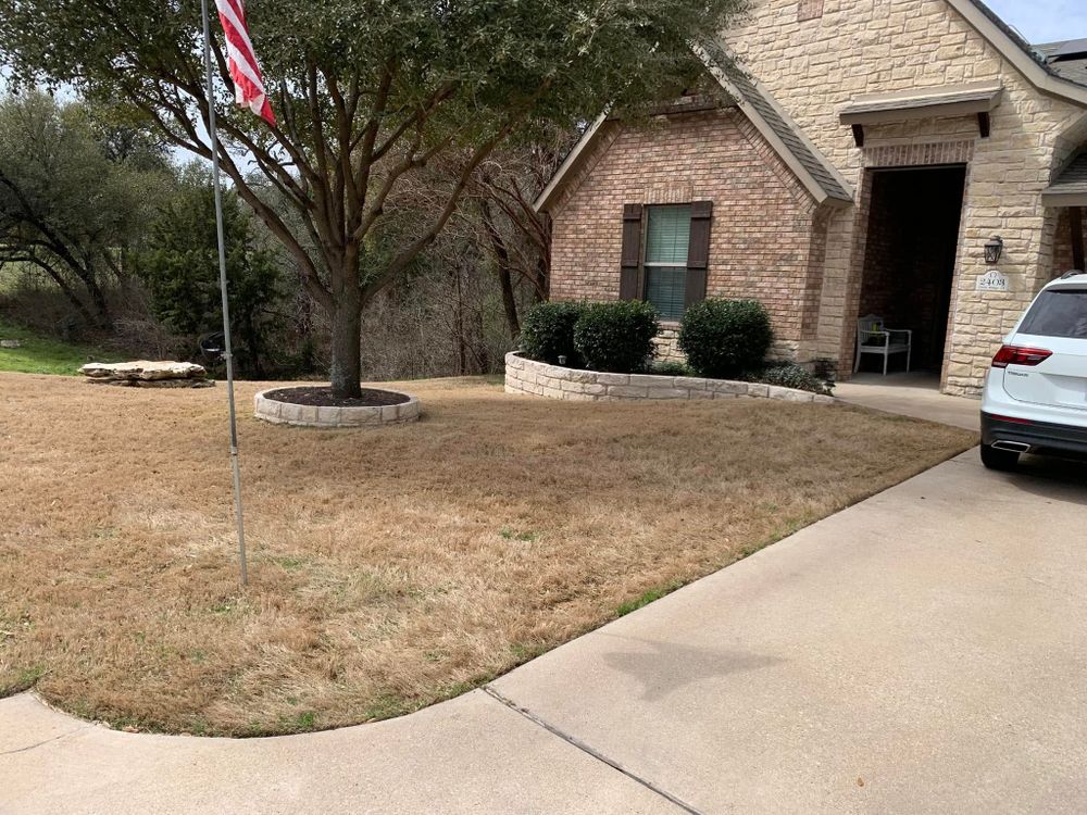 All Photos for Scalpel Lawn Service in Temple, TX