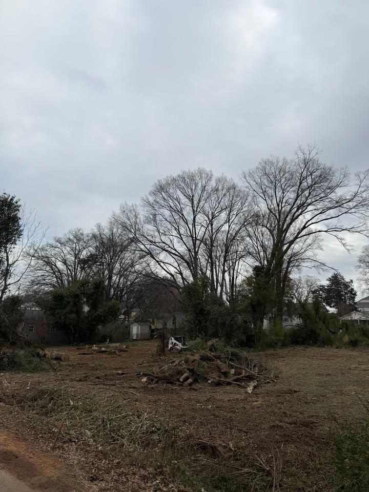 All Photos for Southern Turf & Landscape in Concord, NC