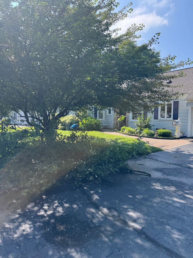 All Photos for Adams Landscaping in Springfield, MA