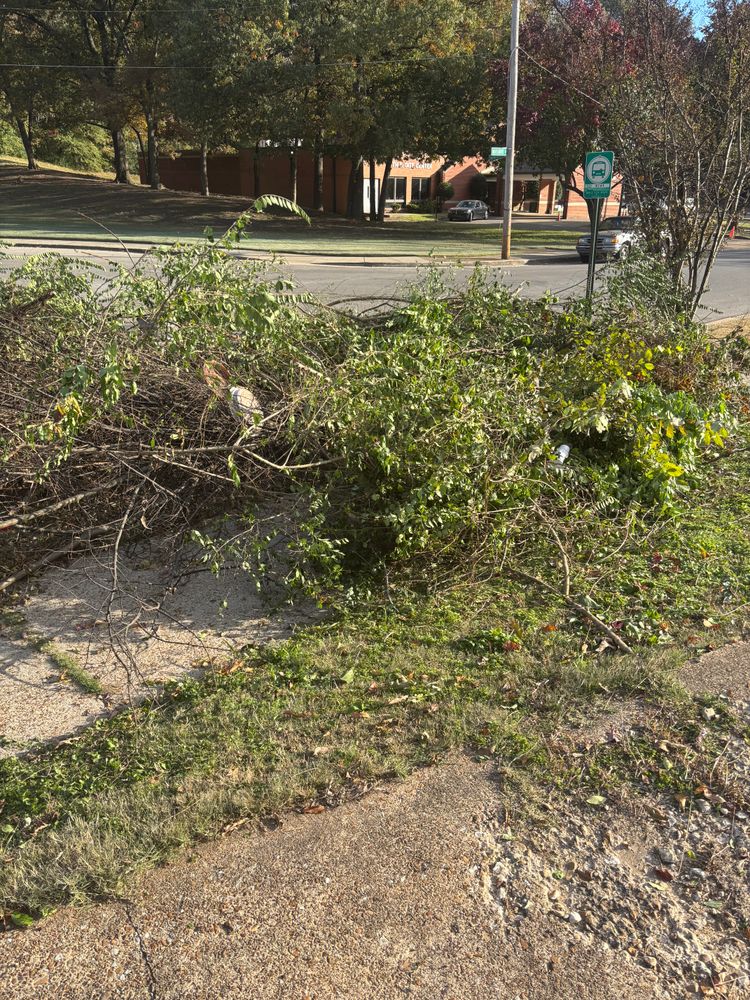 All Photos for Kingdom Landscaping in Memphis, TN