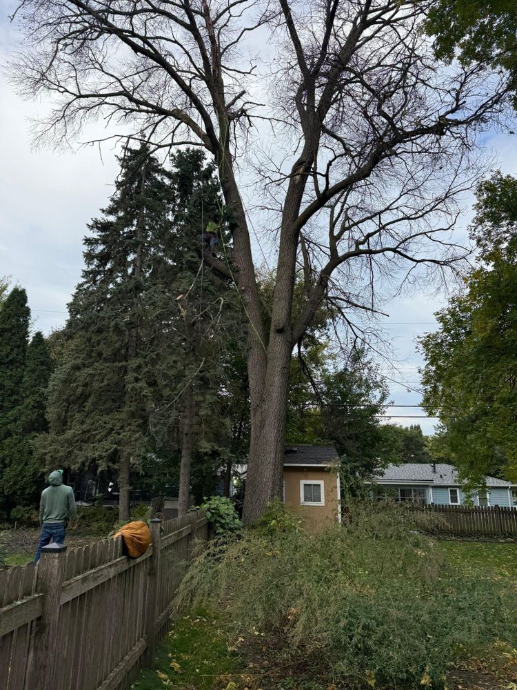 All Photos for Titan Landscaping in Rosemount, MN