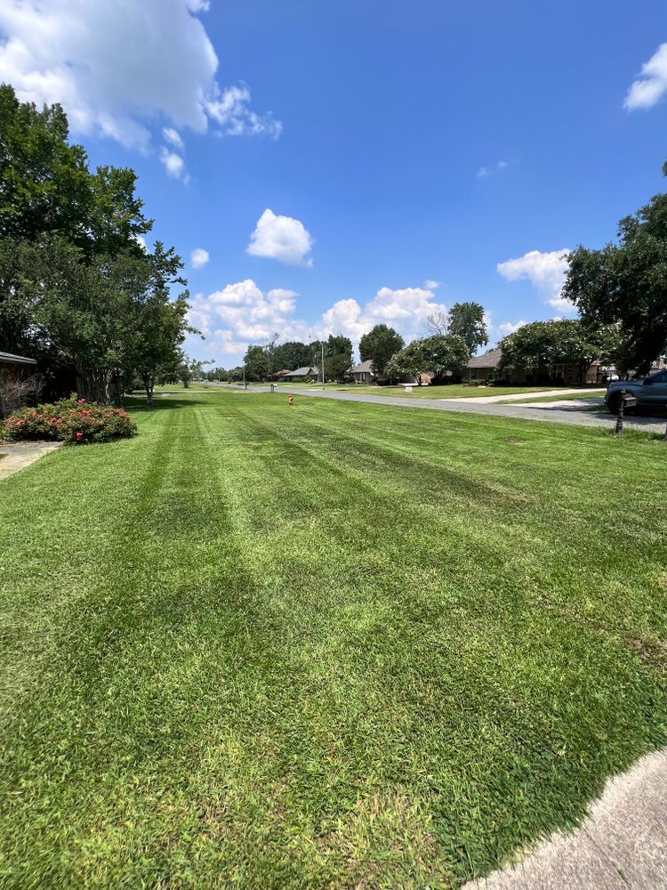 Lawn Care for Lawn Rangers in Baton Rouge,  LA