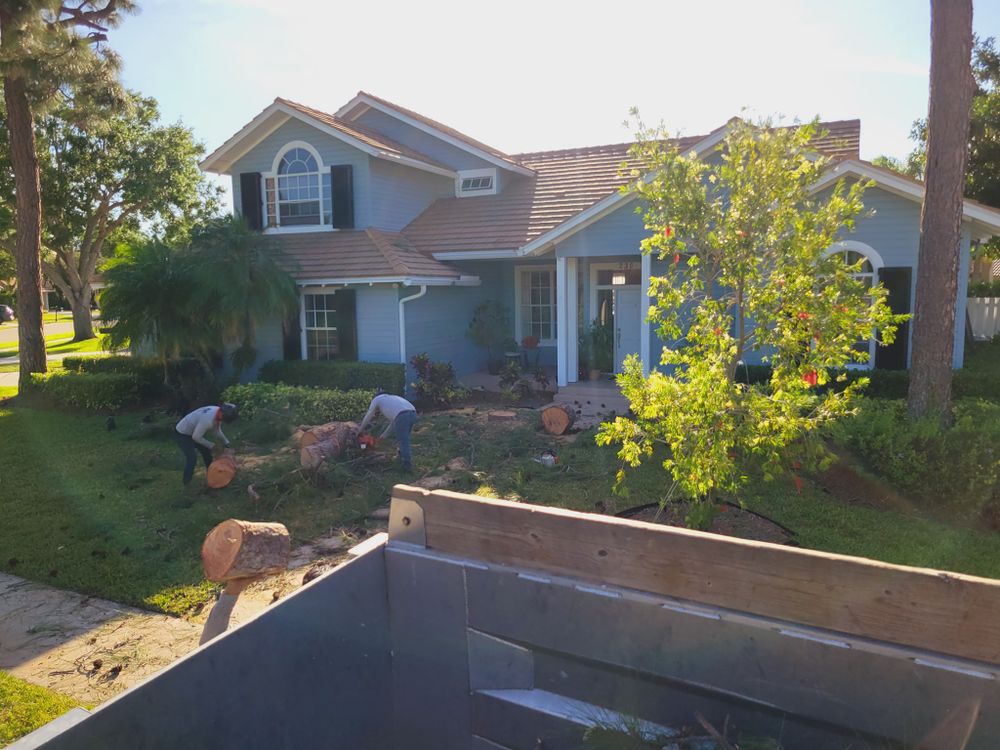 All Photos for L & J Palm Tree & Lawn Care Services in Jupiter, FL