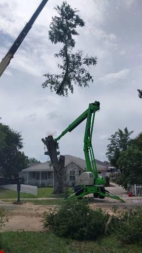 All Photos for Daniel Hickey’s Tree Service in DeLand, FL