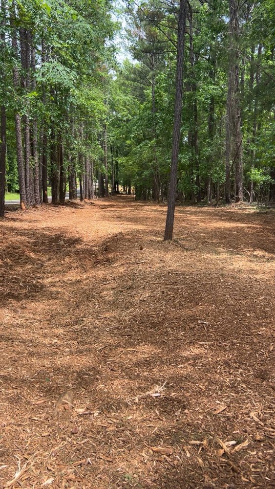 All Photos for Archer Land Management in Macon, GA