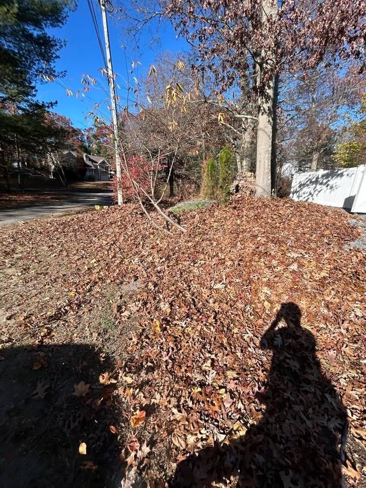 All Photos for Lucas Property Maintenance LLC in New Bedford, MA