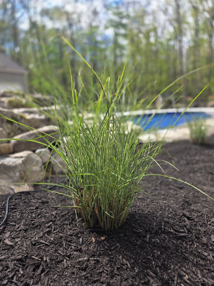 All Photos for Tony Monaco Landscaping Inc. in Orange County, NY