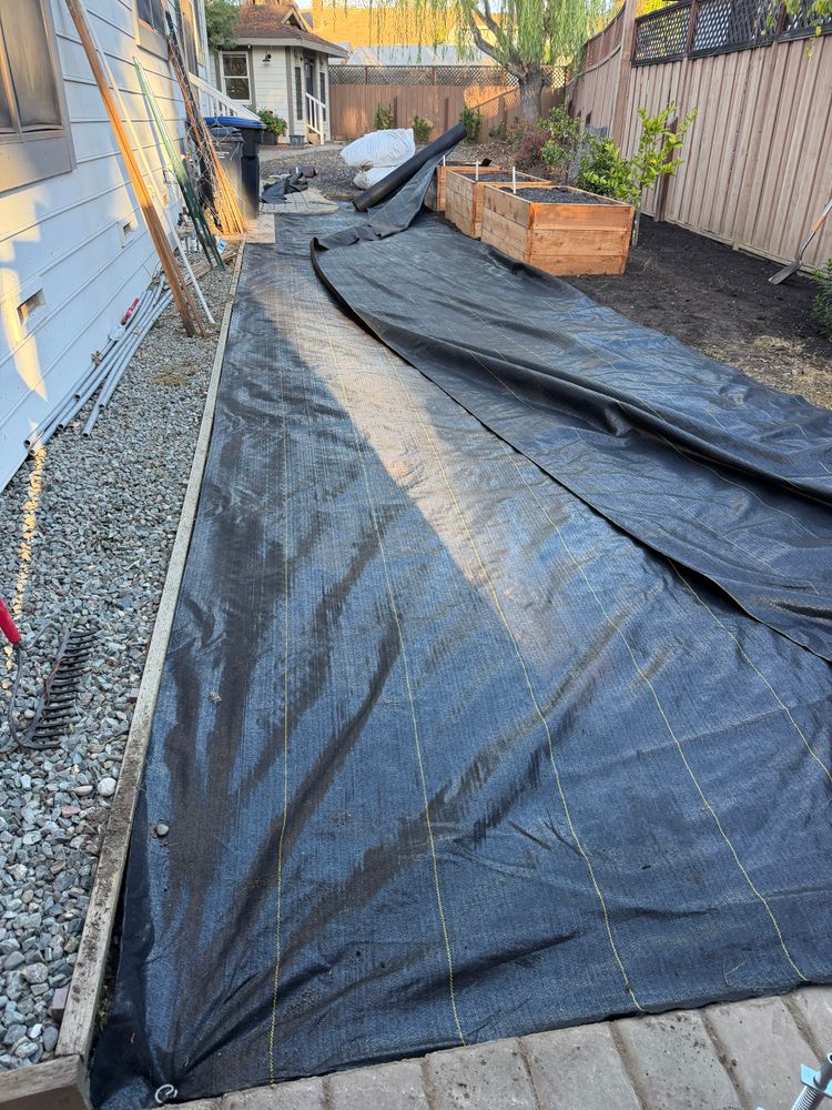 All Photos for CBA Landscaping in Hayward, CA