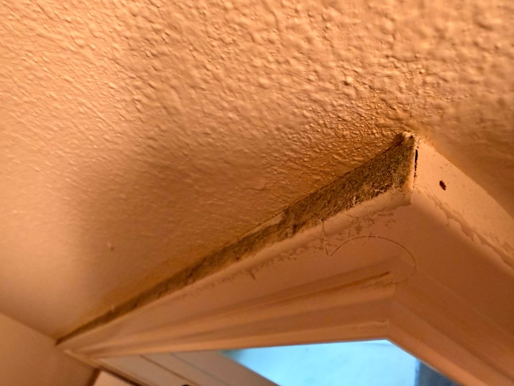 All Photos for A Beautiful Day Cleaning in Rogers, AR