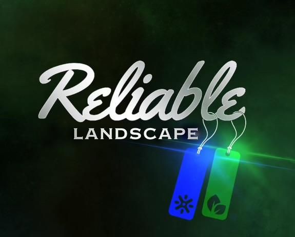 Reliable Landscape team in Monclova, OH - people or person