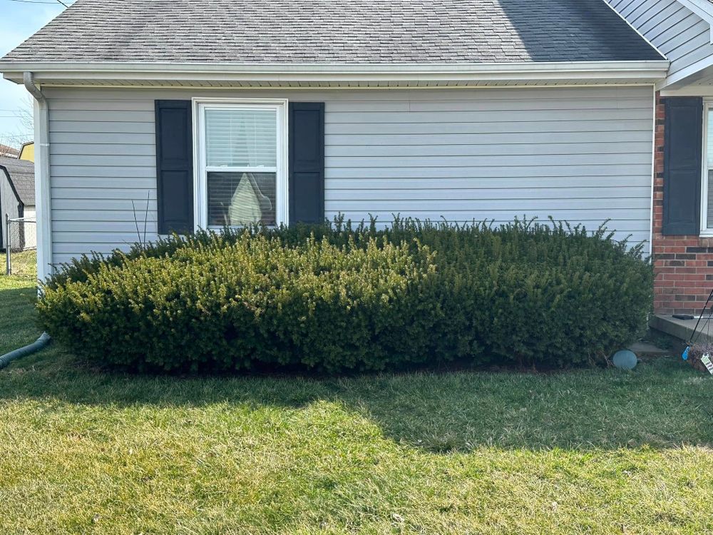 Lawn and Landscape for JKL Lawn Service in Frankfort, KY