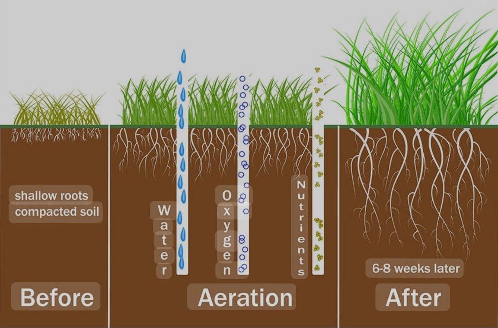All Photos for Scalpel Lawn Service in Temple, TX