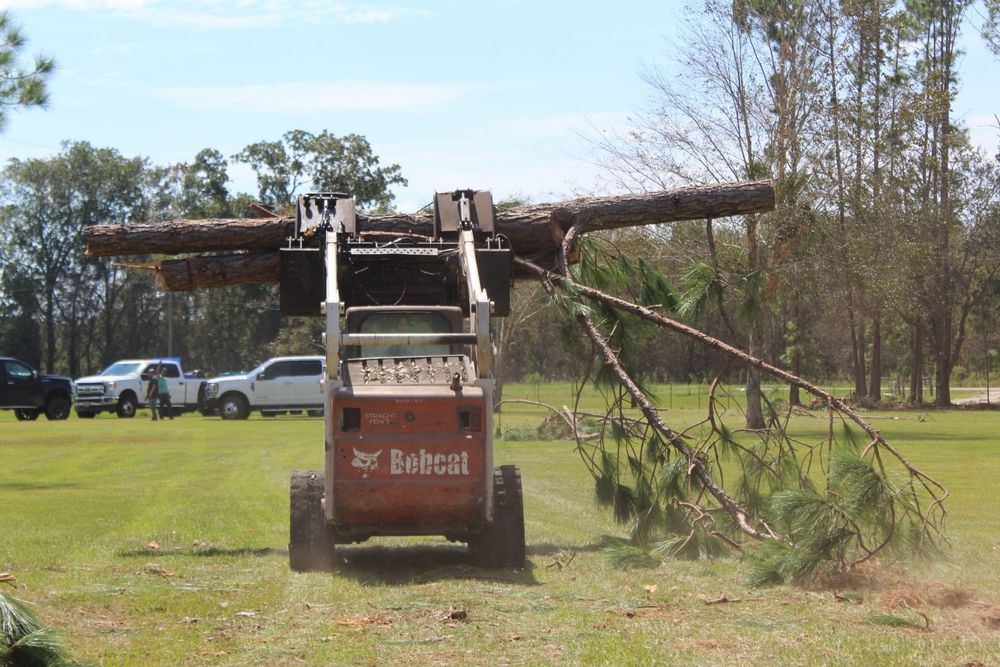 All Photos for American Tree Masters in Alvin, TX