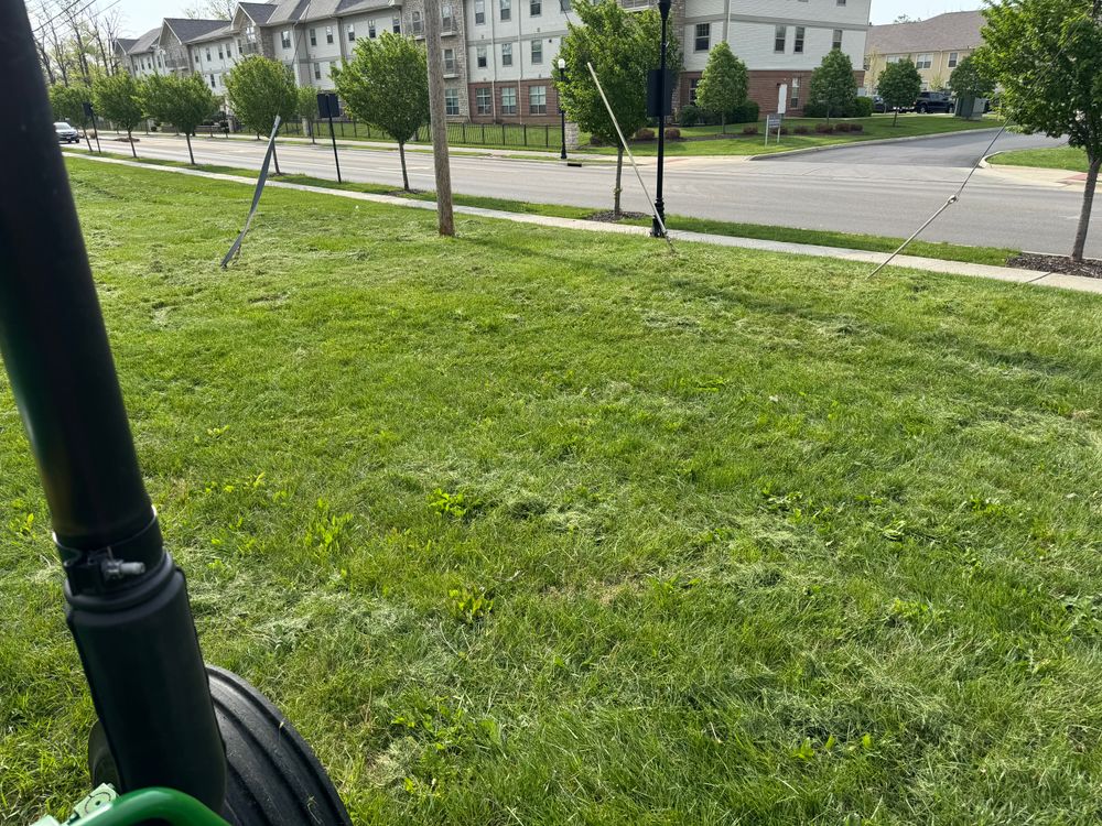 All Photos for A1 Bush Hogging & Lawn Service in Columbus, OH
