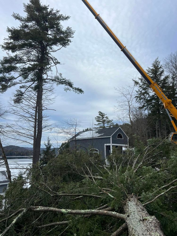 All Photos for Abair Tree Service in Weare, NH
