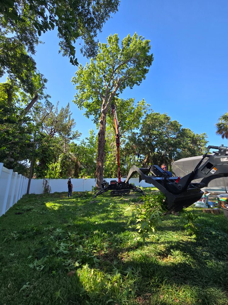 Tree Removal for Near Me Tree Service, Inc. in DeLand, FL