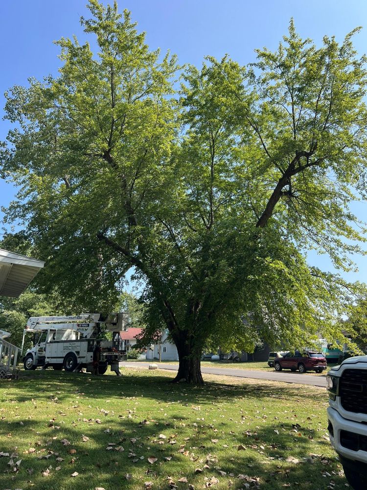 All Photos for Baker Professional Services LLC in Shelbina, MO