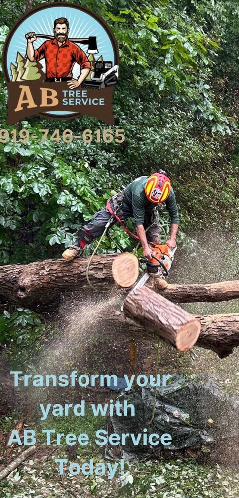 All Photos for AB Tree Service in Raleigh, NC