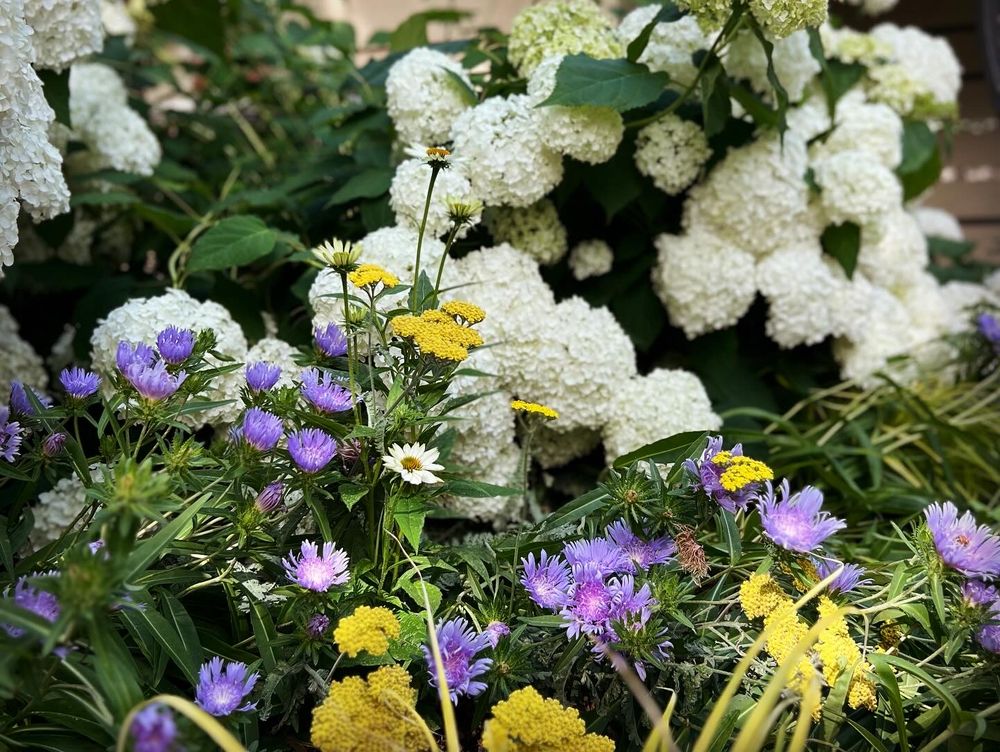 All Photos for Christina King Landscape Design in West Raleigh, NC