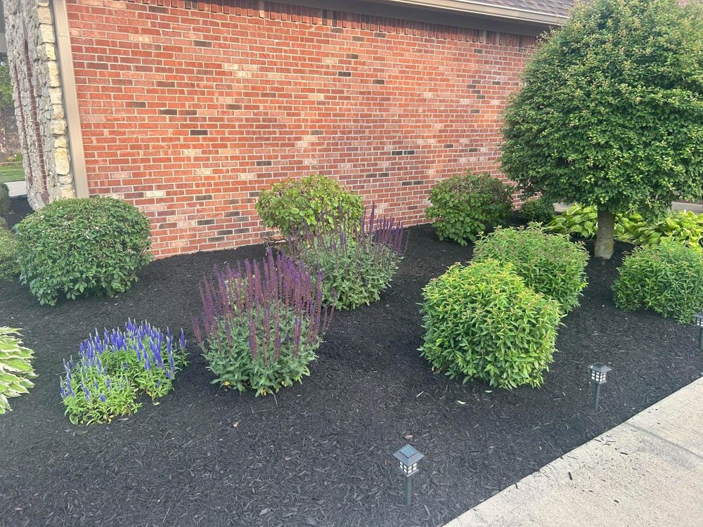 All Photos for Bearforce Lawn Care LLC in Greenfield, IN