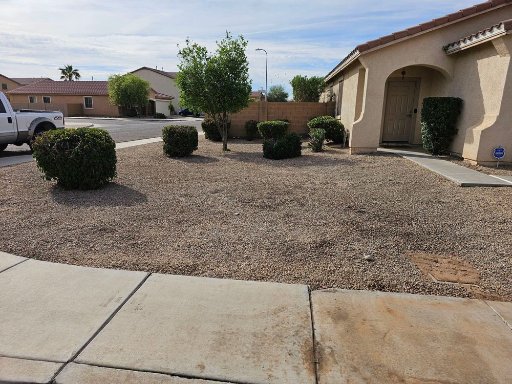 Shrub triming for Sharp Image LLC Landscaping & Hardscape in Phoenix, AZ