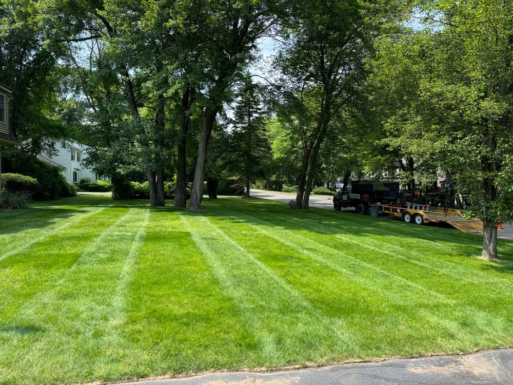 All Photos for Adams Landscaping in Springfield, MA