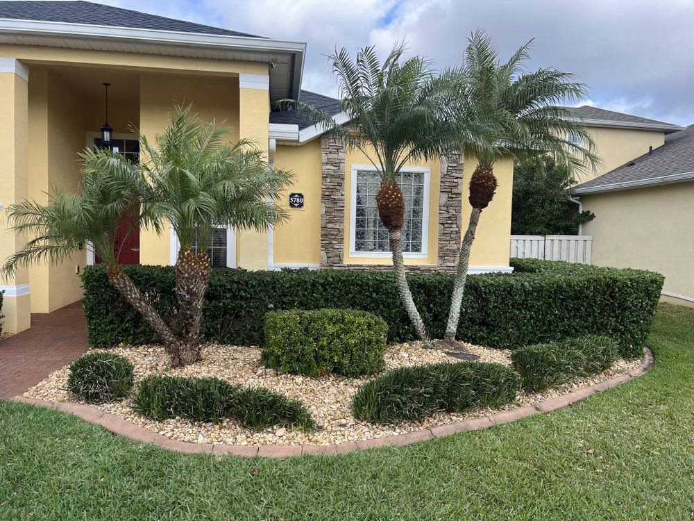 Our professional landscaping company offers shrub, hedge, and small tree trimming services to help make your landscape look beautiful and well maintained. for Florida Pro Turf in  Viera, FL