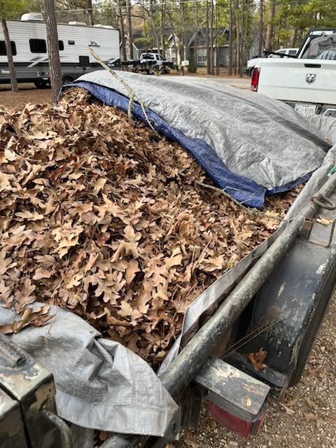 All Photos for Oviedo Land & Garden in Bastrop, TX