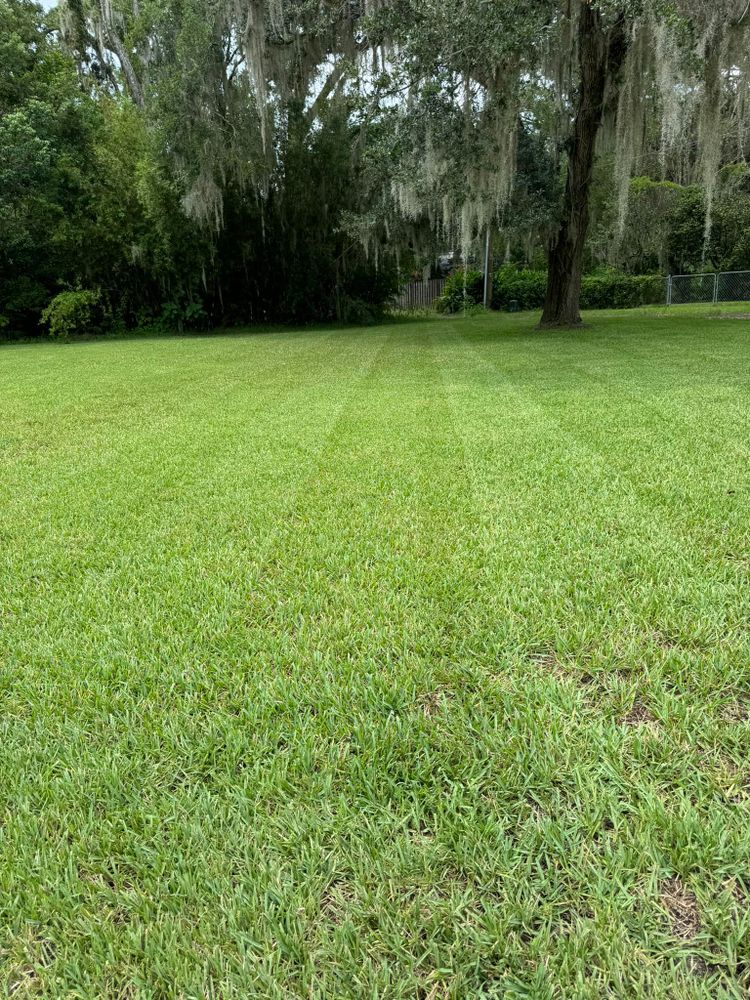 Landscaping for Young's Lawn Services LLC in Ocala, FL