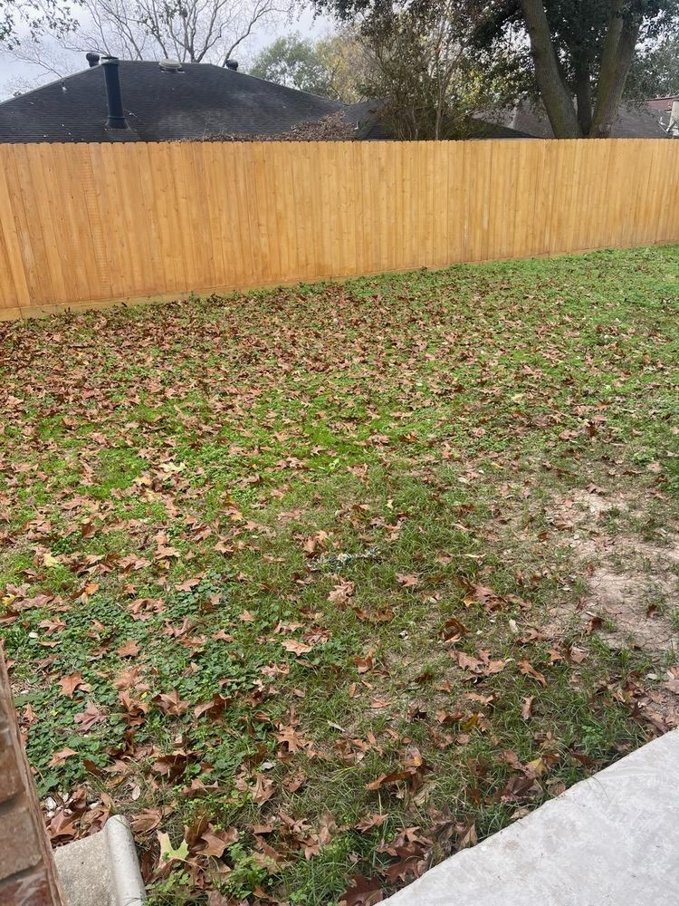 All Photos for Servin's Tree Care  in Houston, TX