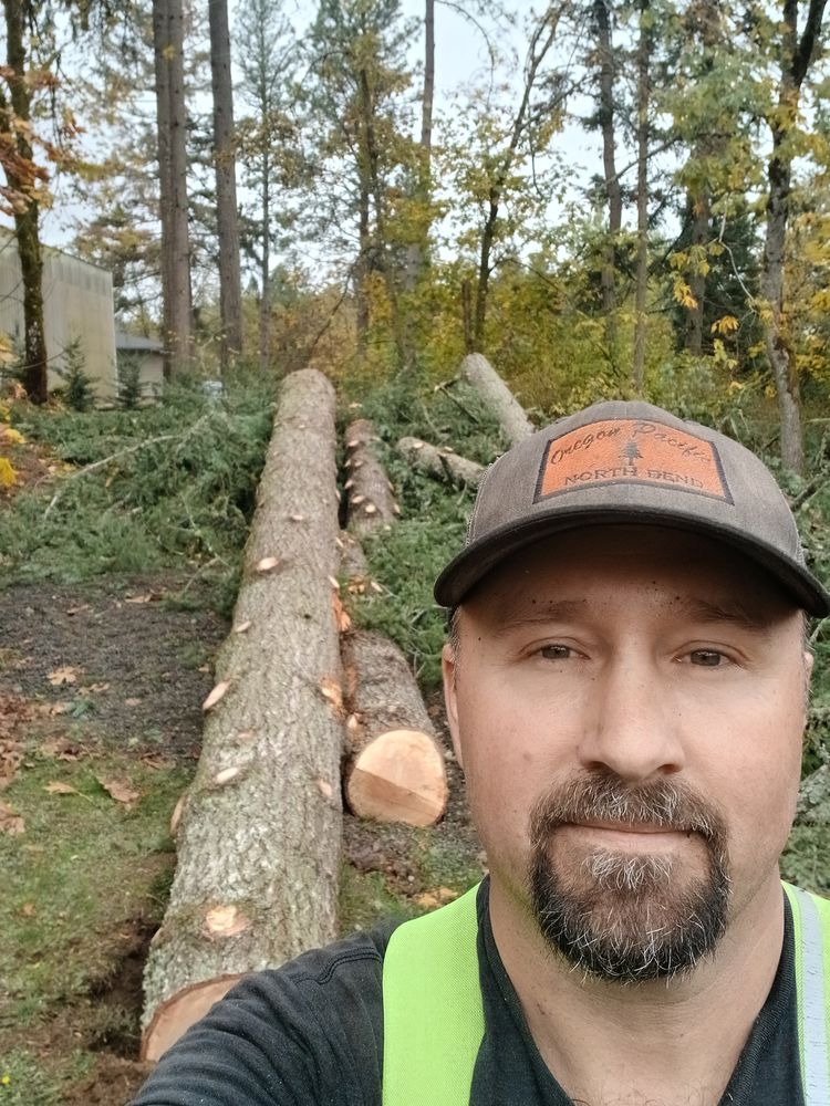 Tree Removal for Clippys Tree Pros in Stayton, OR
