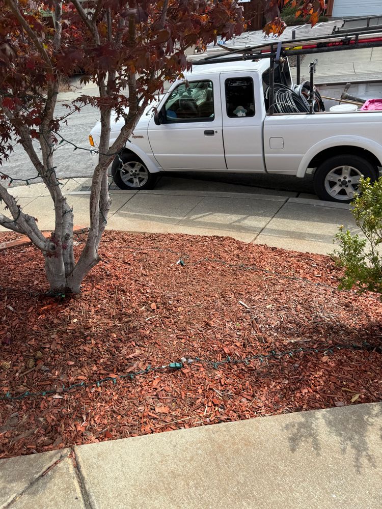 All Photos for CBA Landscaping in Hayward, CA