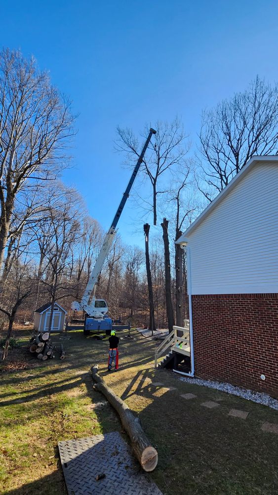 All Photos for Advanced Tree Solutions in Rockville, IN