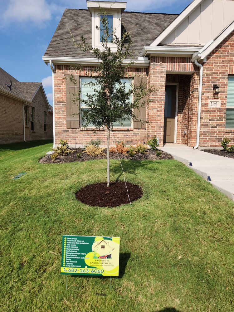 All Photos for Paquito's Landscaping in Ellis County, TX
