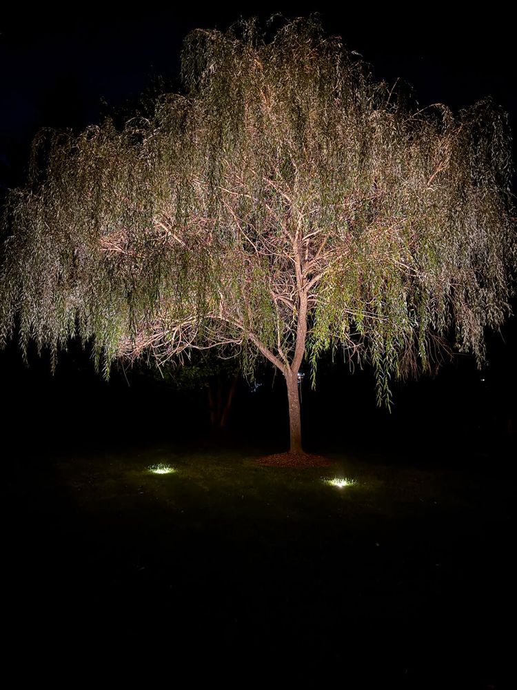 All Photos for Unique Outdoor Lighting in Short Hills, NJ