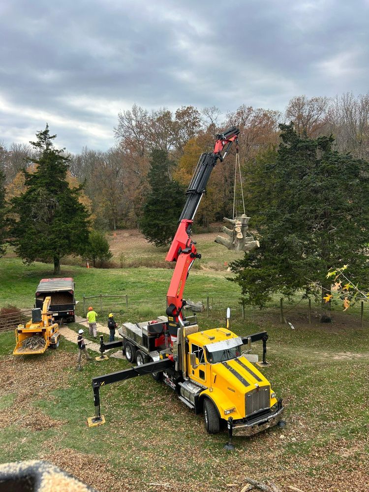 All Photos for Hingewood Tree Service in Salem, NJ