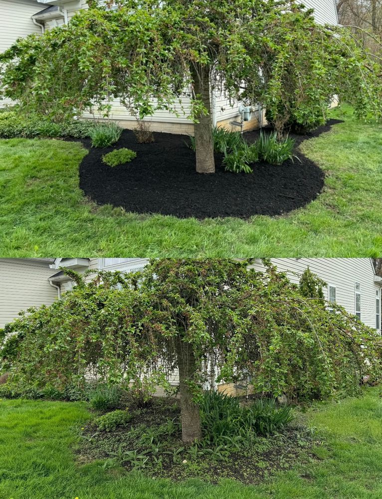 All Photos for Green Stripes LLC in North Canton, OH